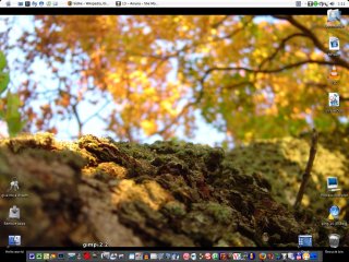 Windows Autumn Edition