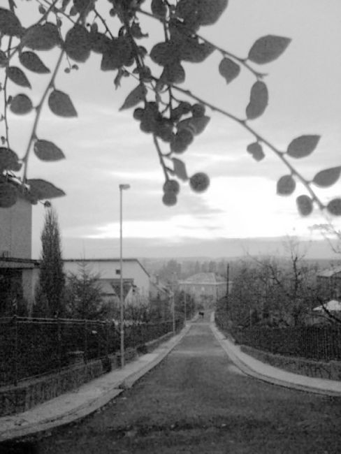 Ulice na vysočanech
